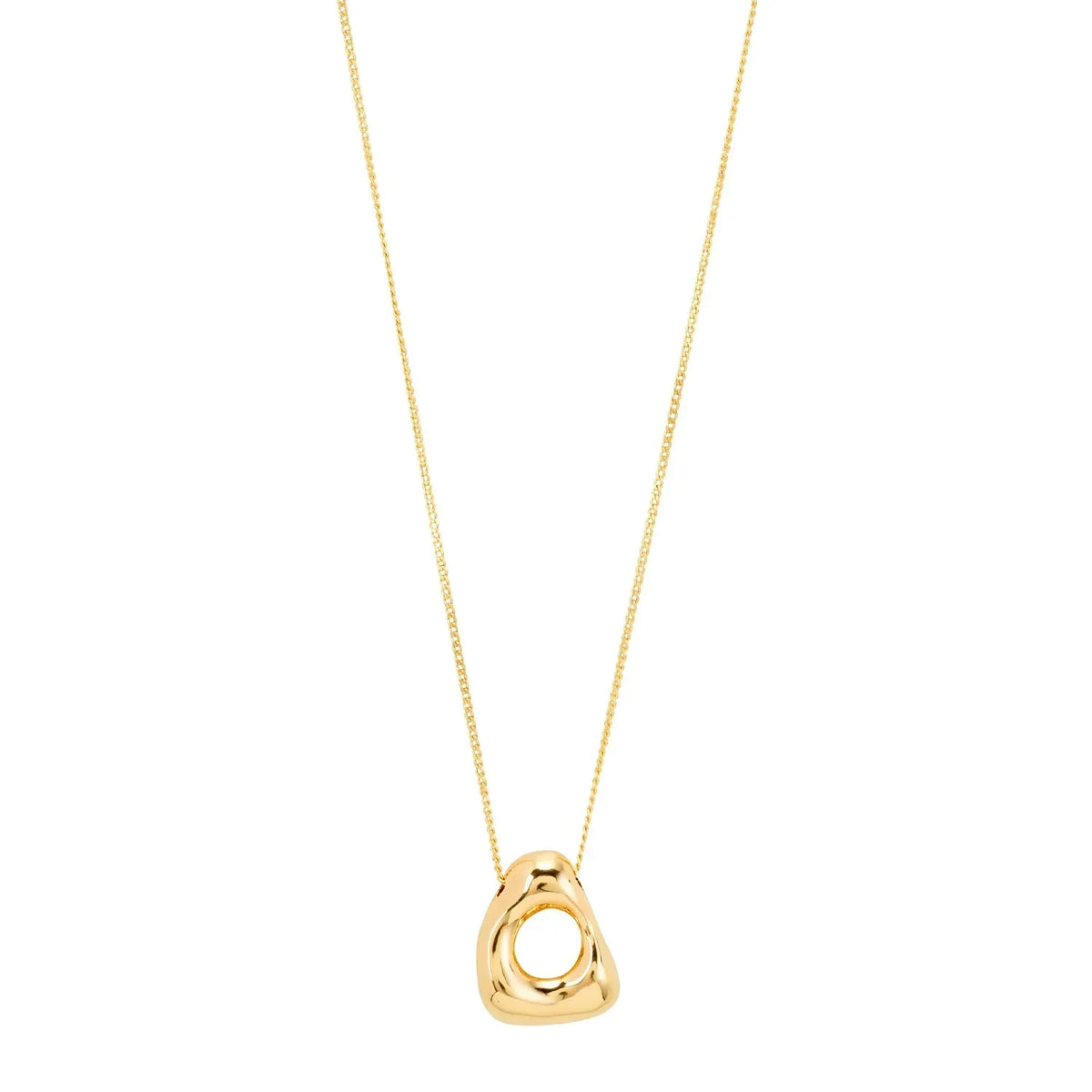 Free Necklace Gold Pilgrim