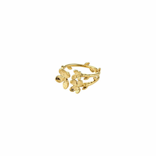 Ajani Ring Gold Pilgrim