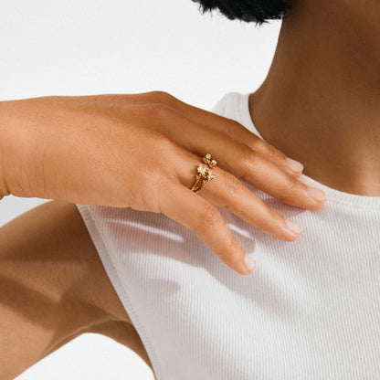 Ajani Ring Gold Pilgrim