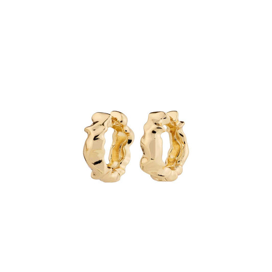 Elliot Earrings Gold Pilgrim